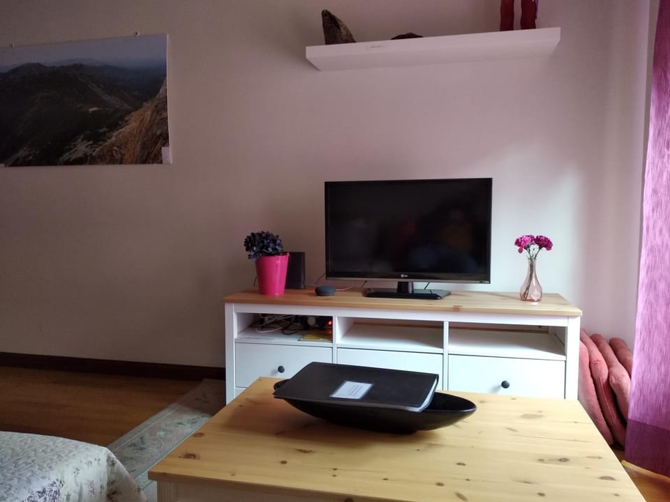 Communal lounge/ TV room, TV and multimedia