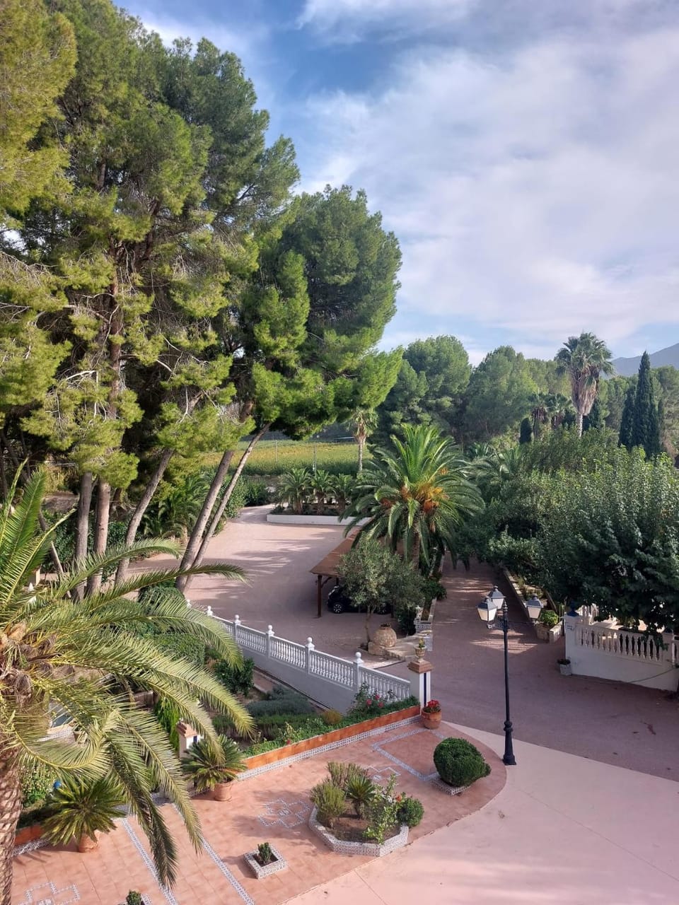 Garden view