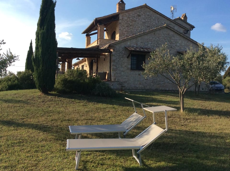 Summer, Garden, On site