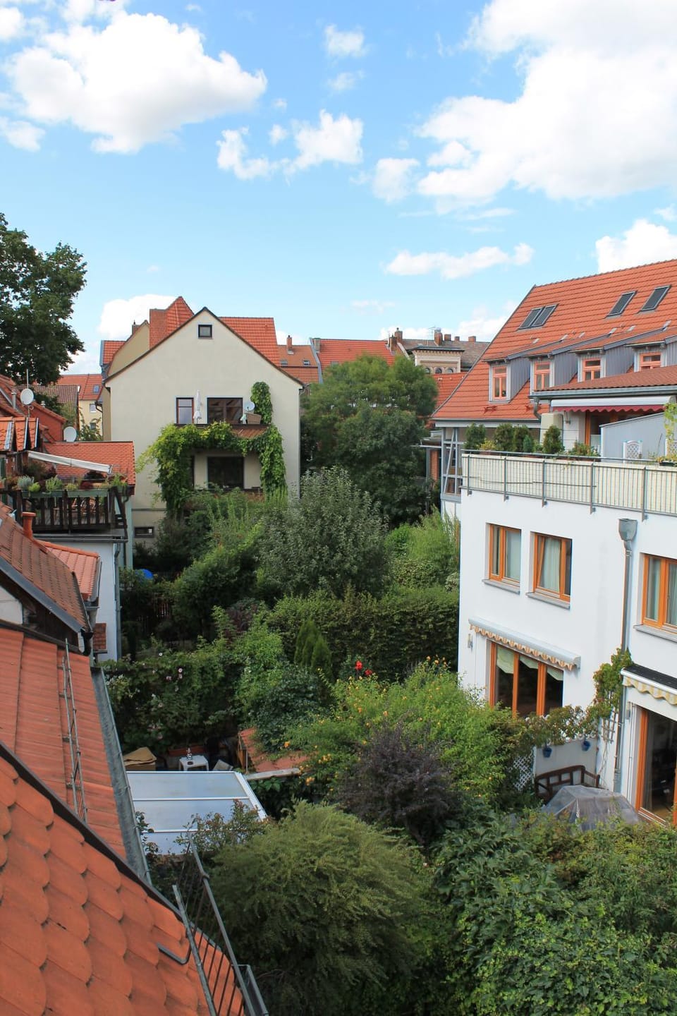 Garden view