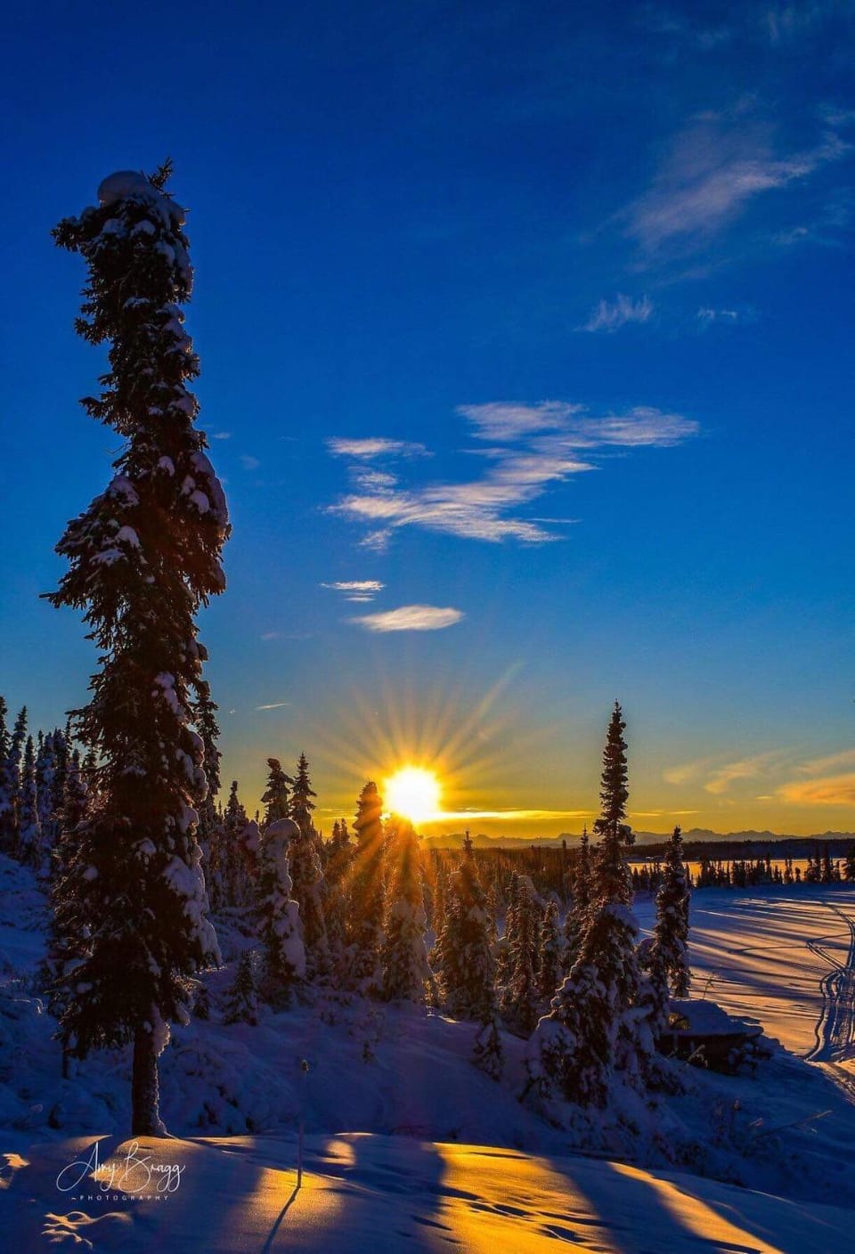 Lake Louise Lodge, Alaska Nature lodge in Alaska