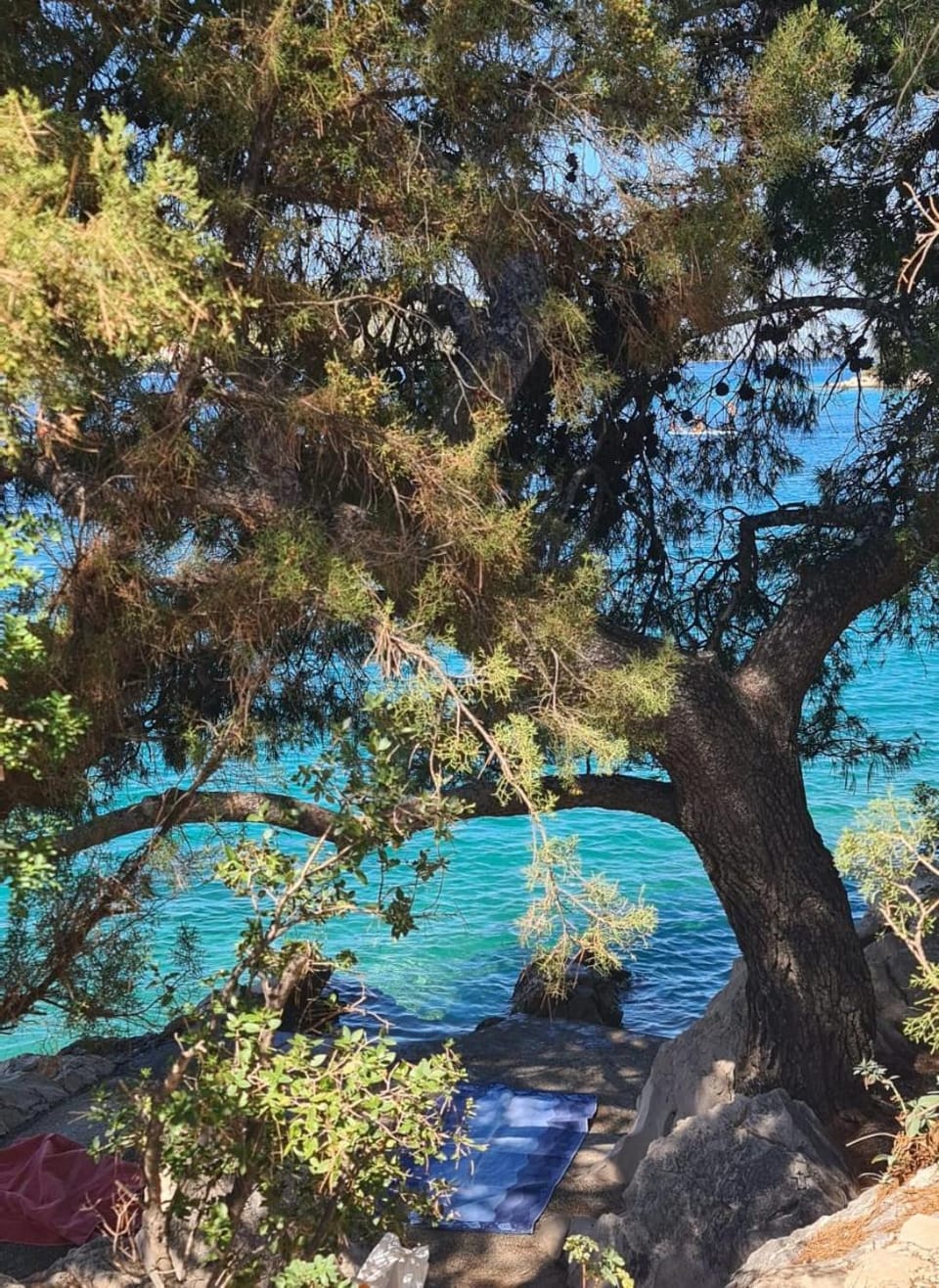 Apartmani Dalmacjia Apartment in Šibenik-Knin County, Croatia