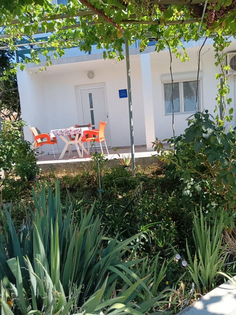Apartment Josip -Tomic Apartment in Zadar County