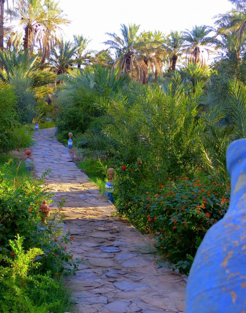 Riad Tagmadarte Ferme d'Hôte Riad in Morocco