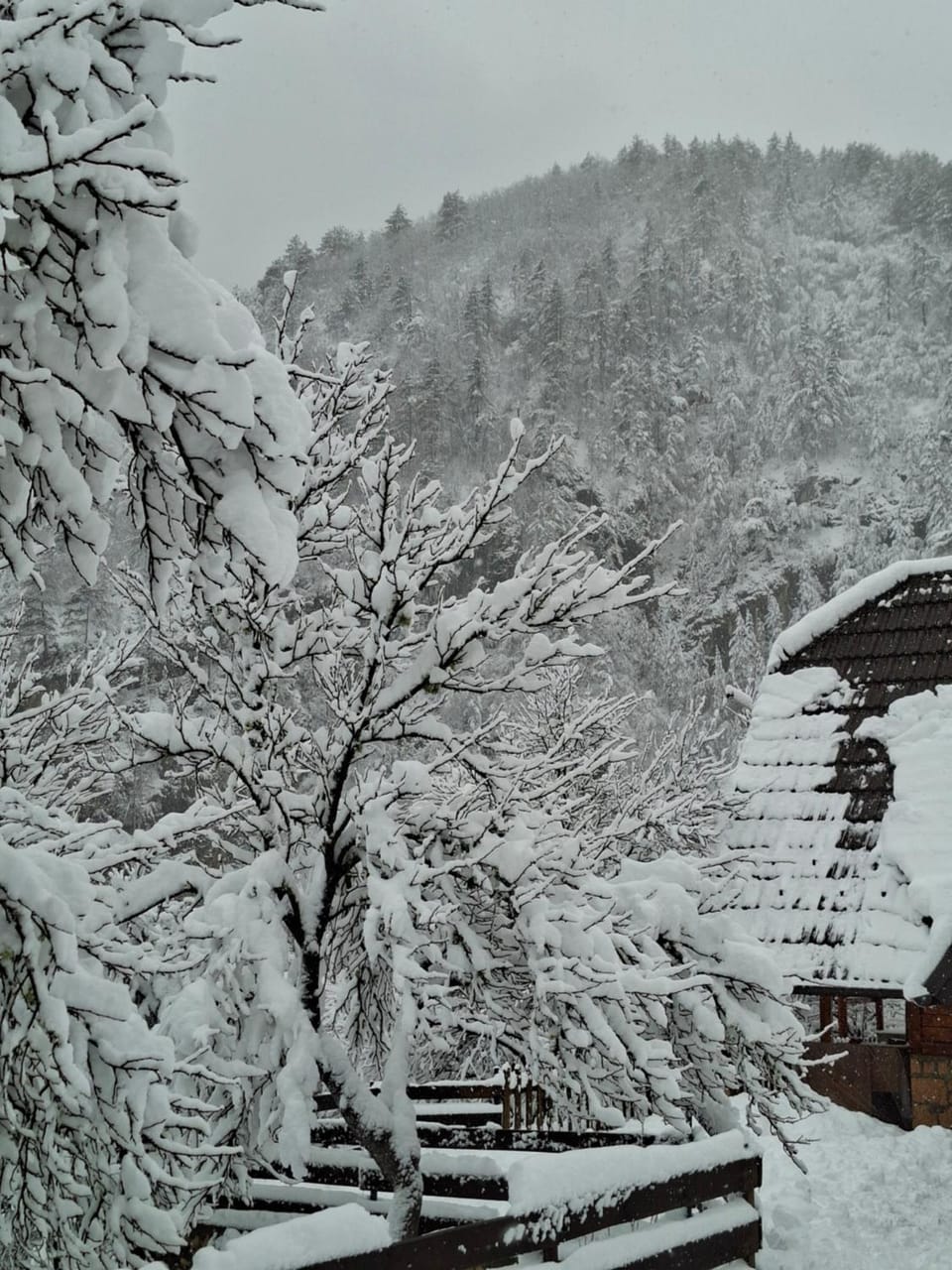 Vikendica NEVEN House in Zlatibor District, Serbia