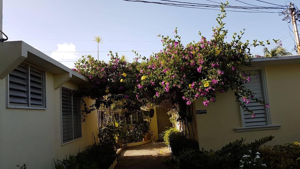 Facade/entrance, Natural landscape