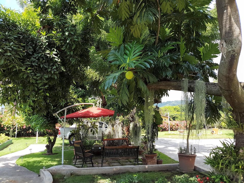 Facade/entrance, Garden, Garden, Seating area, Garden view