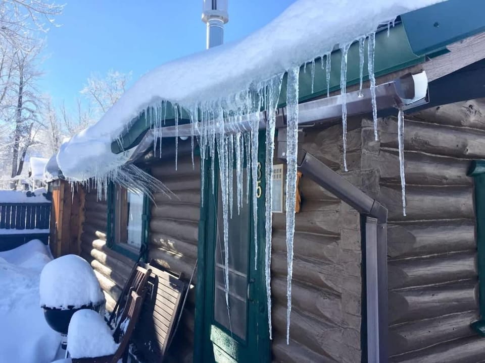 Wild Bills Cabin Cabin in Red Lodge