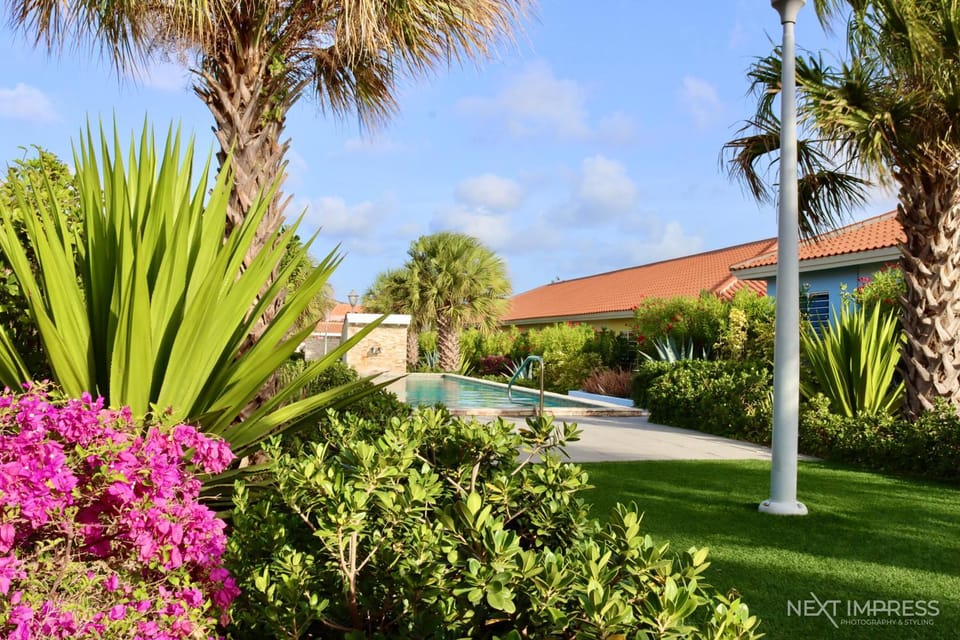 Pool view, Pool view, Swimming pool, Swimming pool, Swimming pool