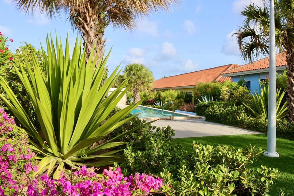 Garden, Garden view, Pool view, Pool view, Swimming pool, Swimming pool