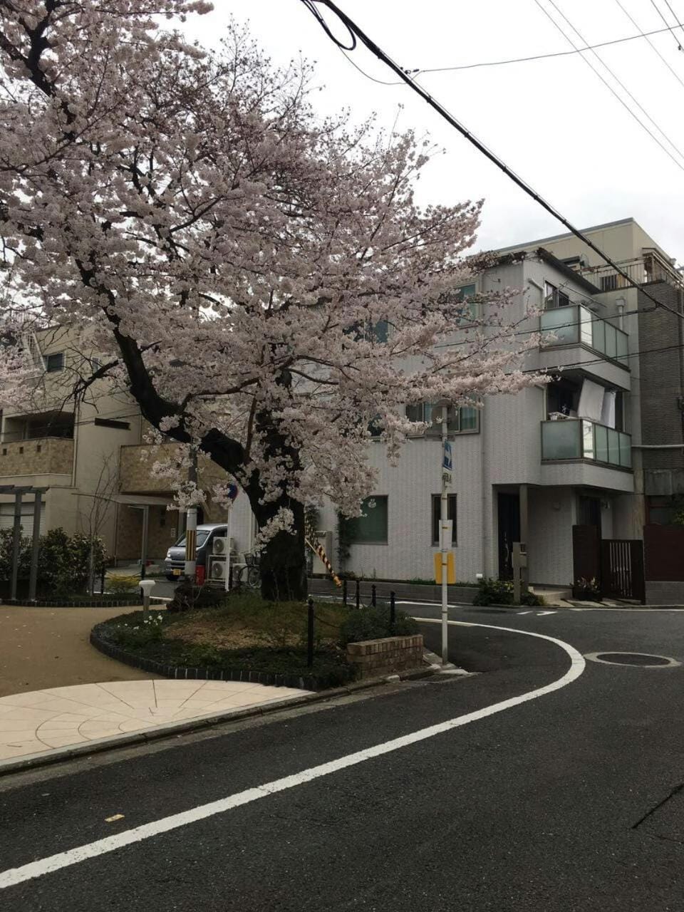 Property building, Spring, Neighbourhood, Street view, Location