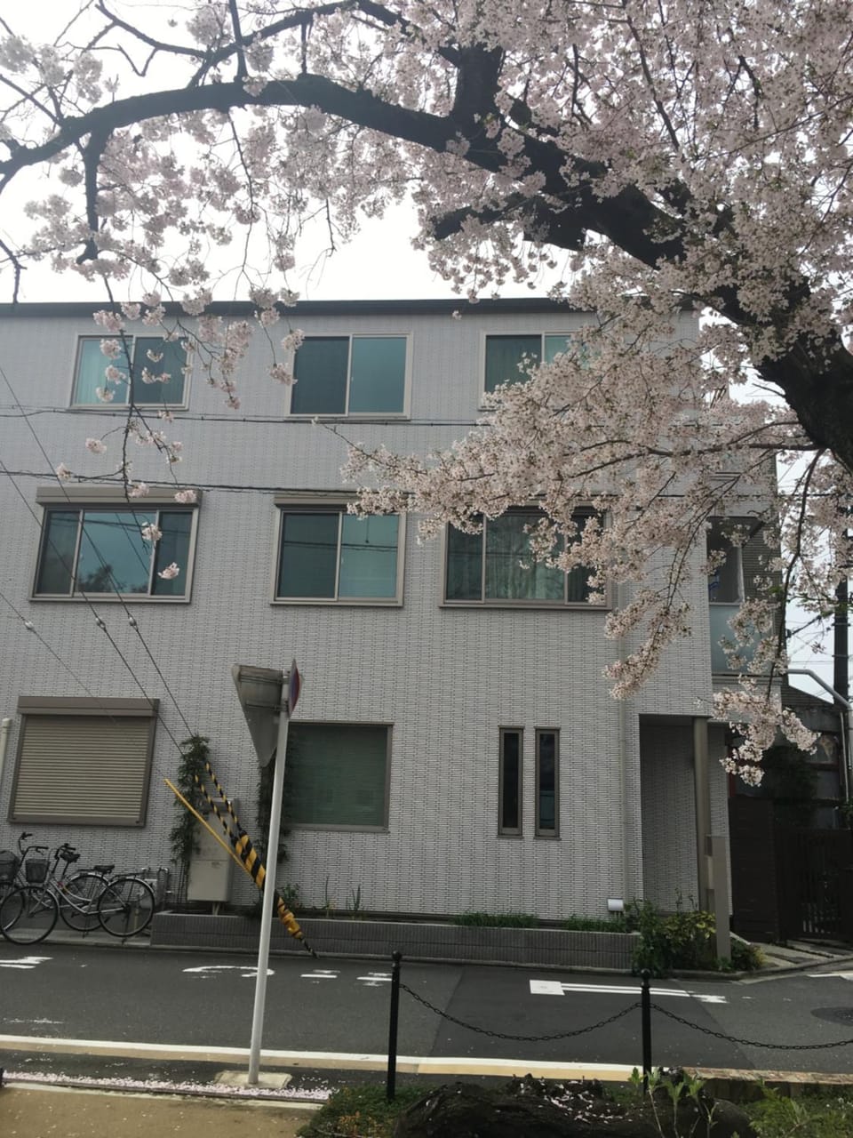 Kyoto LanLan Apartment in Kyoto