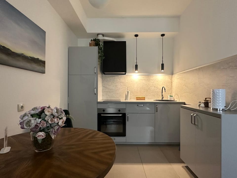 Kitchen or kitchenette, Dinner, Dinner, kitchen, kitchen