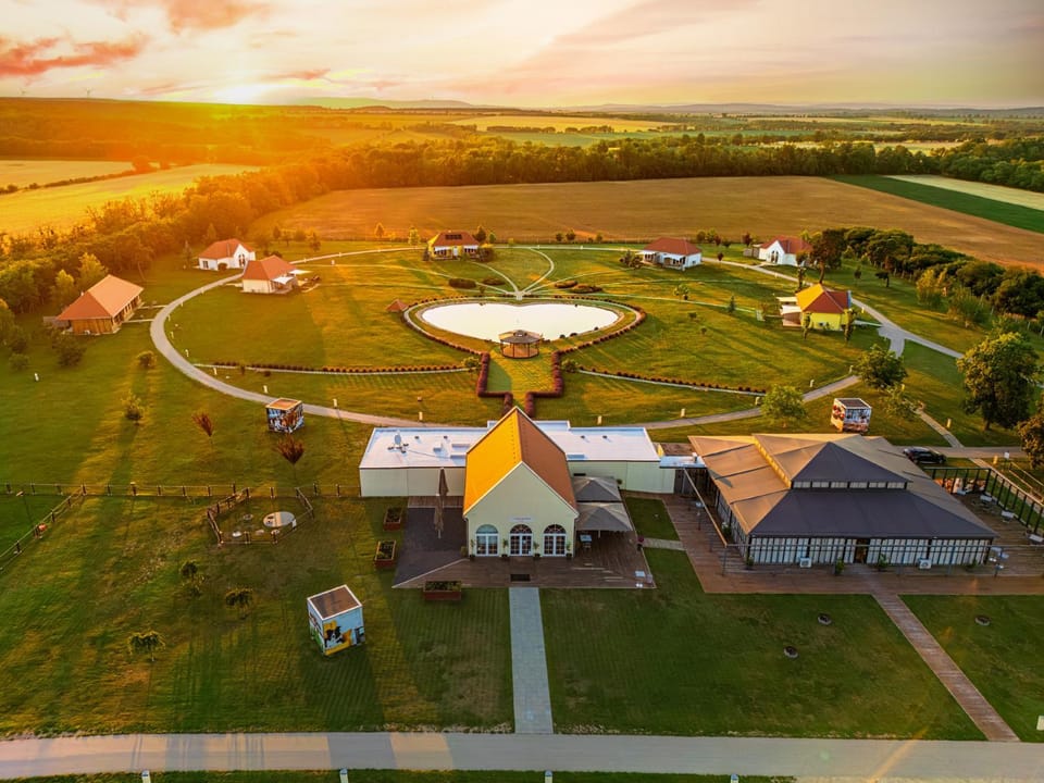 Location, Sunset, wedding