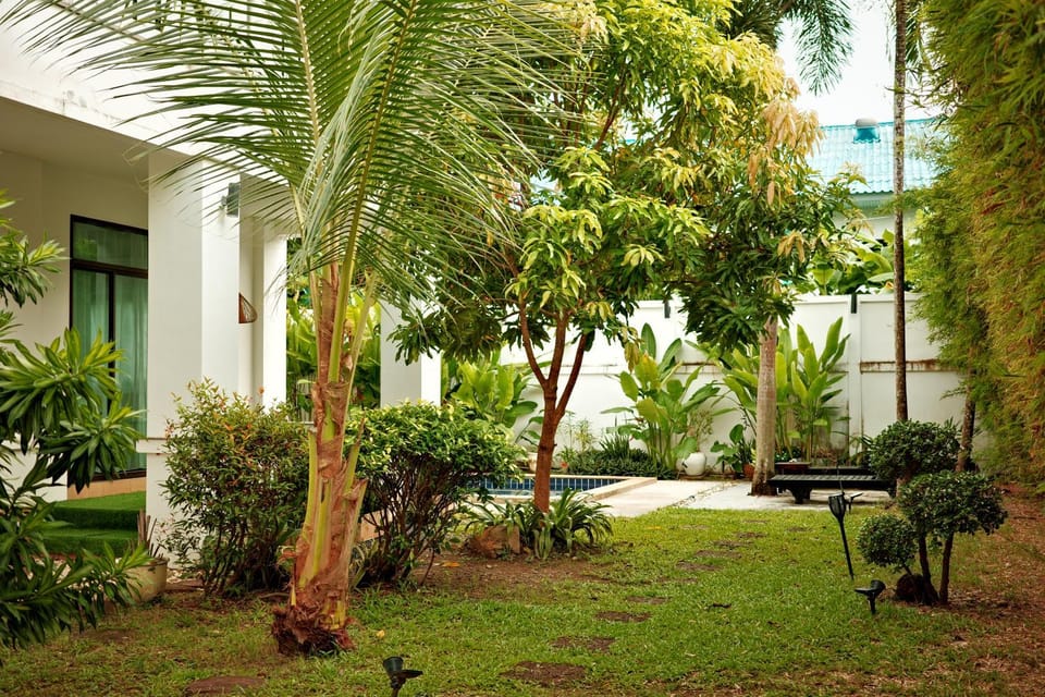 Day, Garden, Garden view