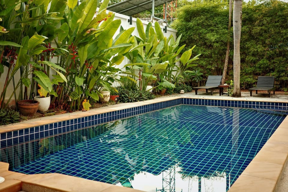 Day, Garden, Swimming pool, sunbed