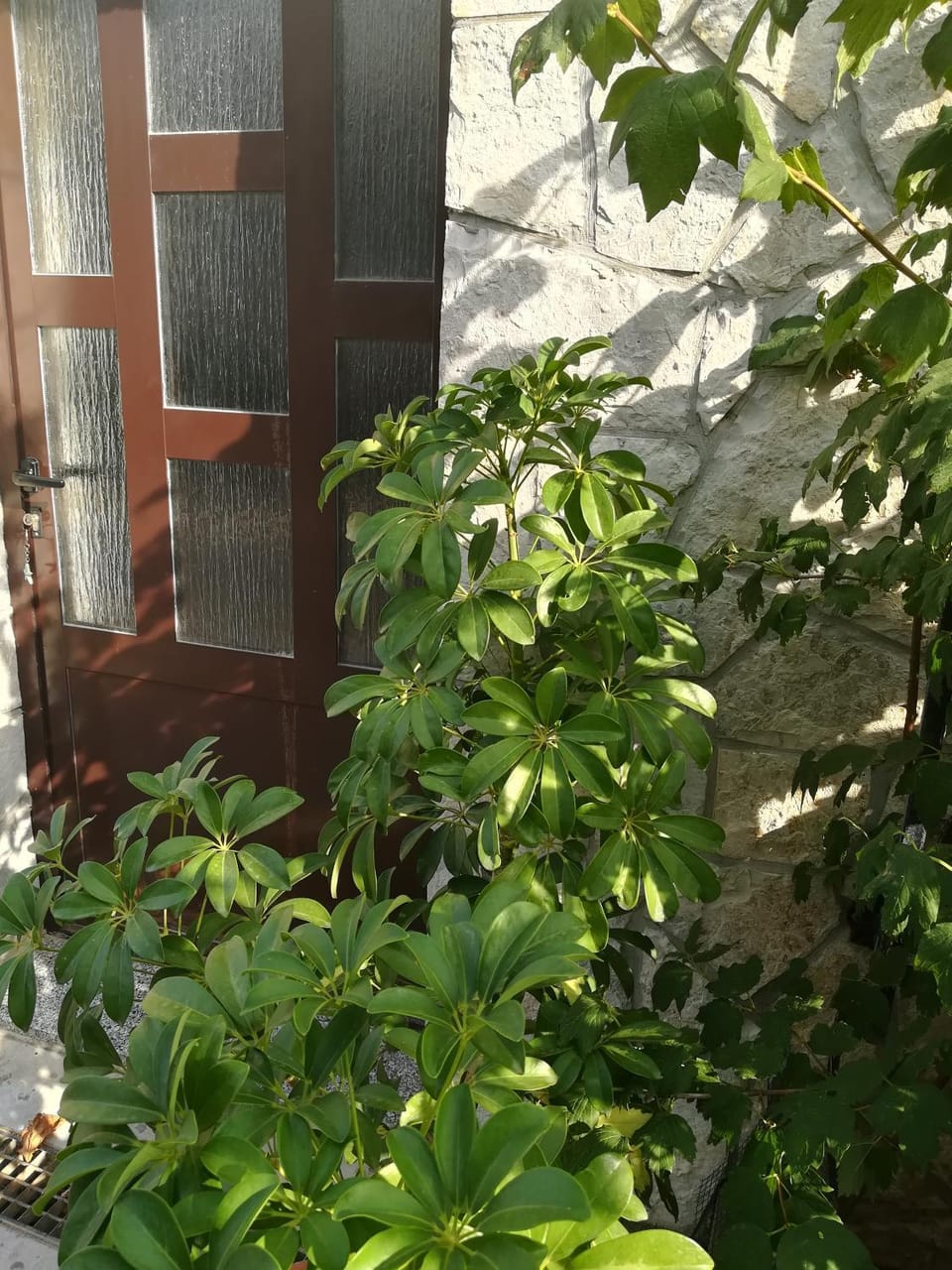 Apartman Nada Apartment in Krk
