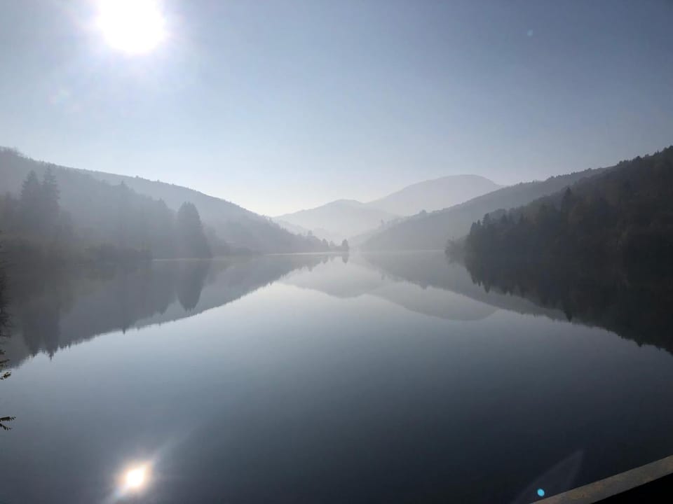 Lake view