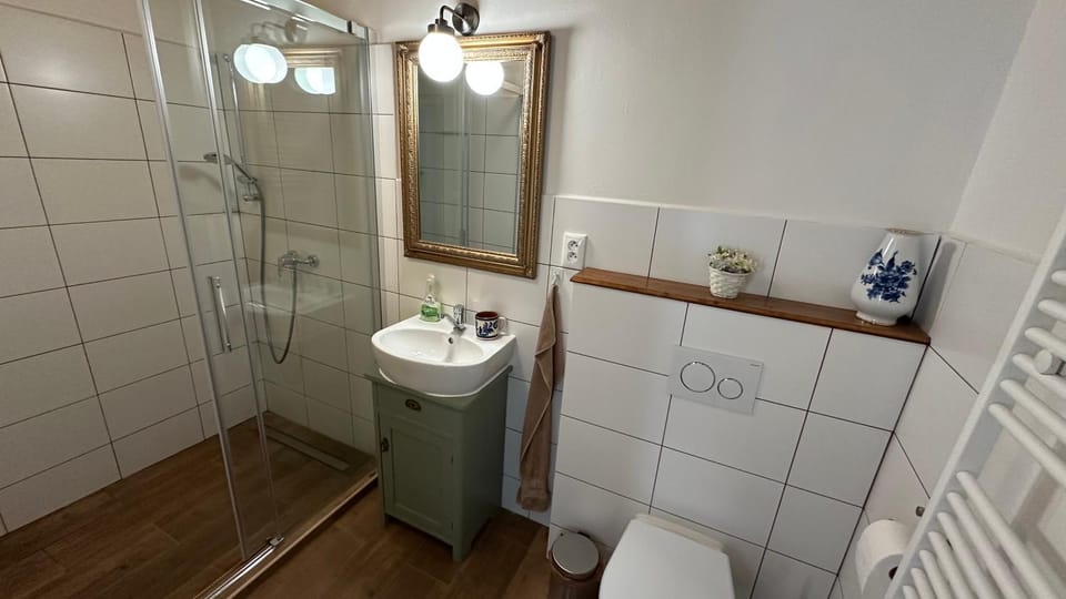 Shower, Toilet, Bathroom, towels