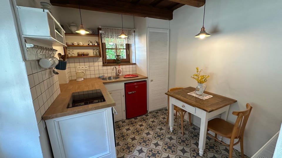 Kitchen or kitchenette, Dining area, oven, stove