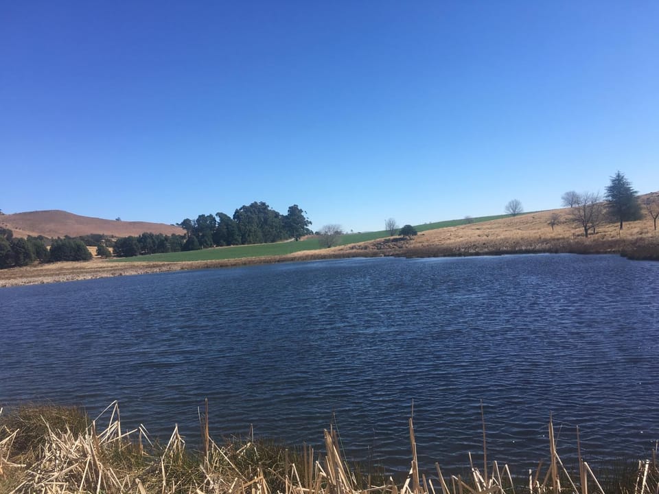 Fishing, Hiking, Pets