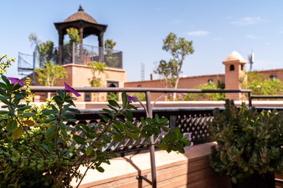 Patio, Balcony/Terrace