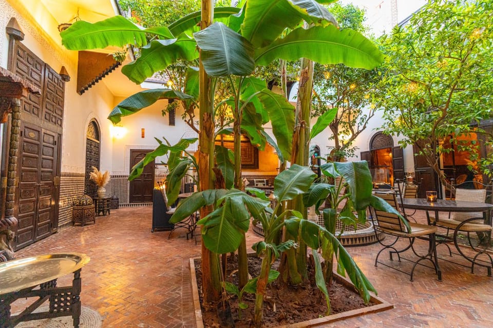 Patio, Garden