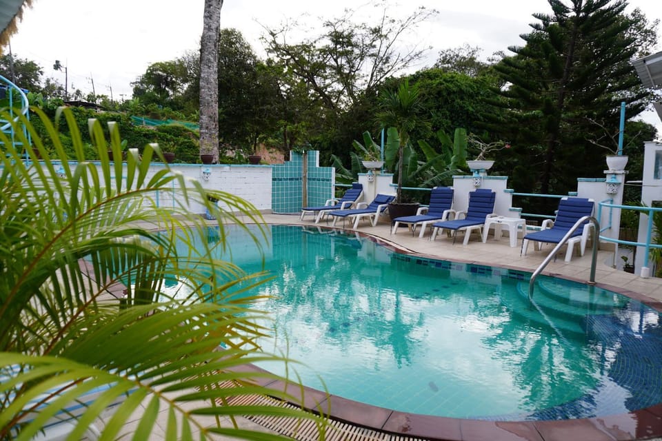 Pool view, Swimming pool, Swimming pool, sunbed