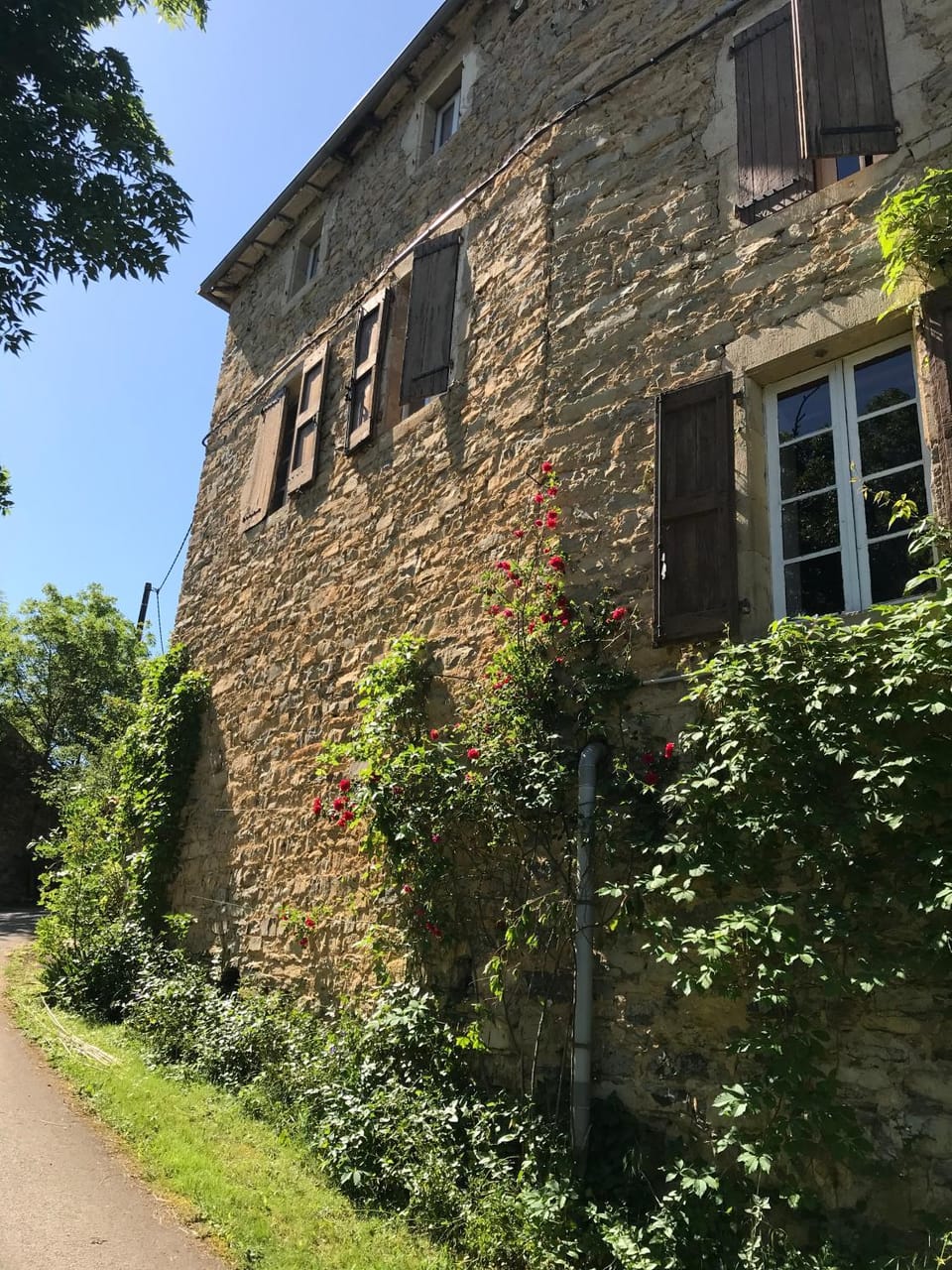 Property building, Garden view, Landmark view