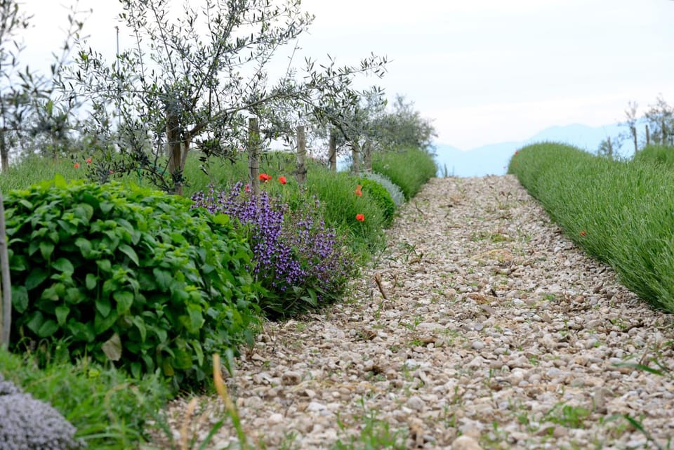 agriturismo2laghi Farm Stay in Province of Brescia