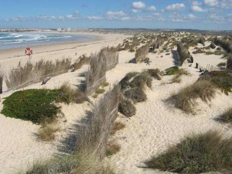 Activities, Fishing, Beach, Windsurfing, Hiking, Diving, Sports, Location