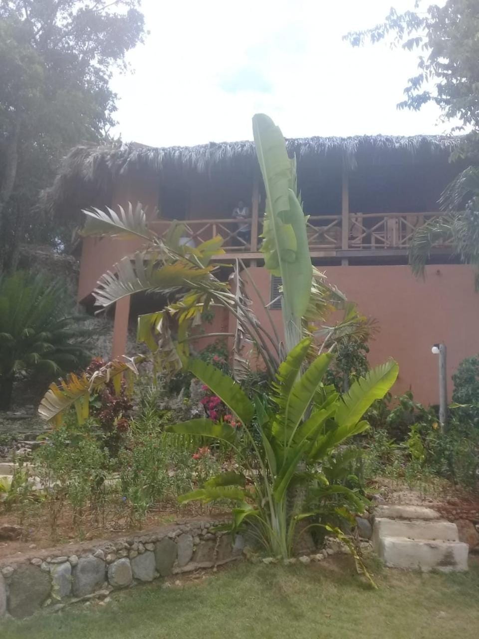 La Casa Del Arbol Apartment in Las Galeras