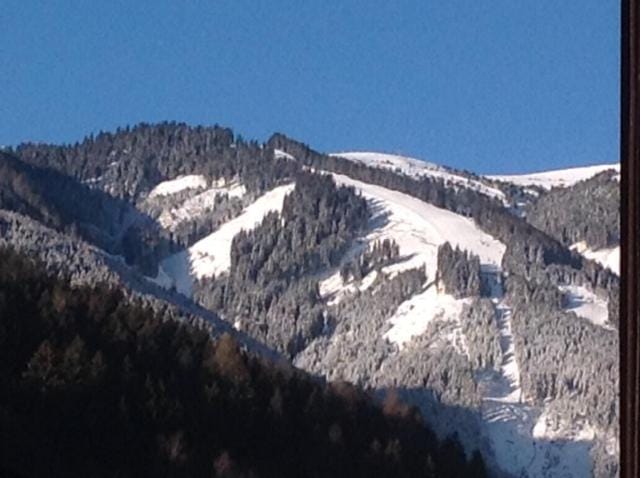 Ferienwohnung Zell am See Apartment in Zell am See