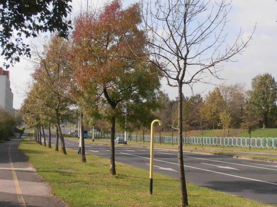 Neighbourhood, Natural landscape