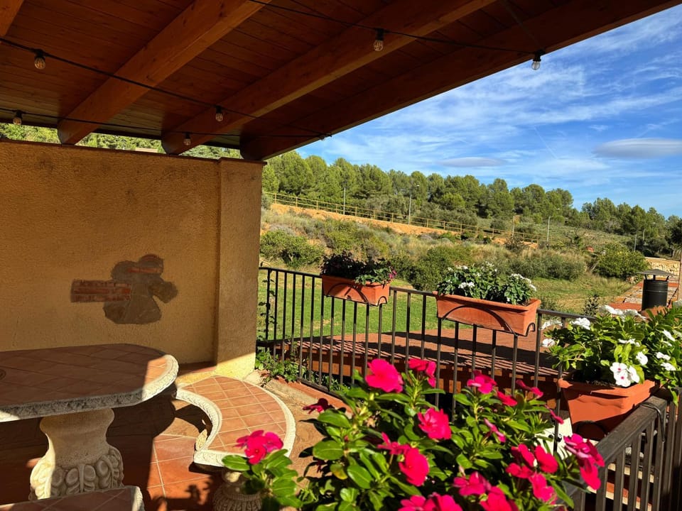View (from property/room)