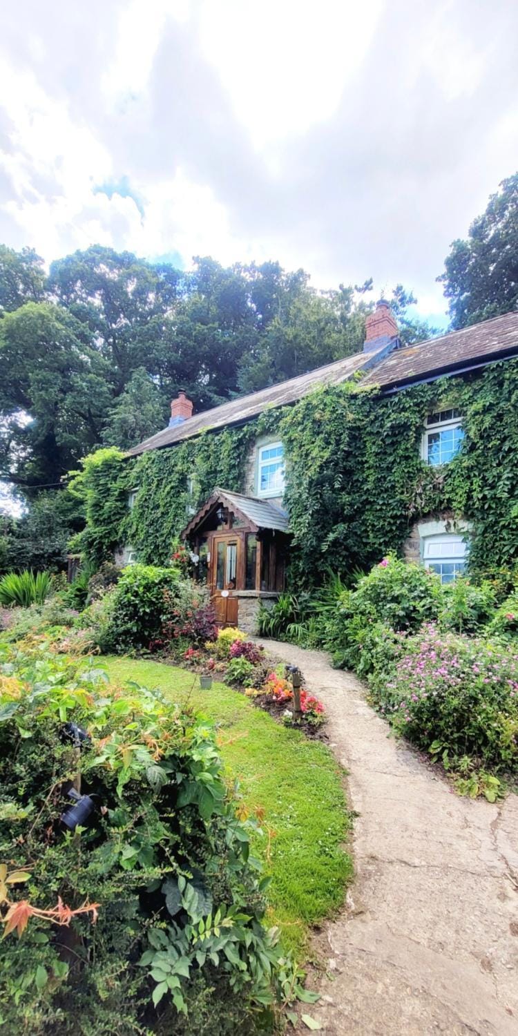 Property building, Facade/entrance, Garden