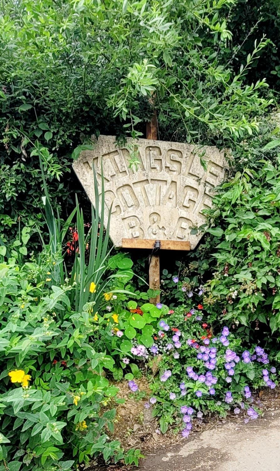 Garden view