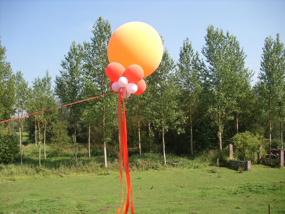 Natural landscape