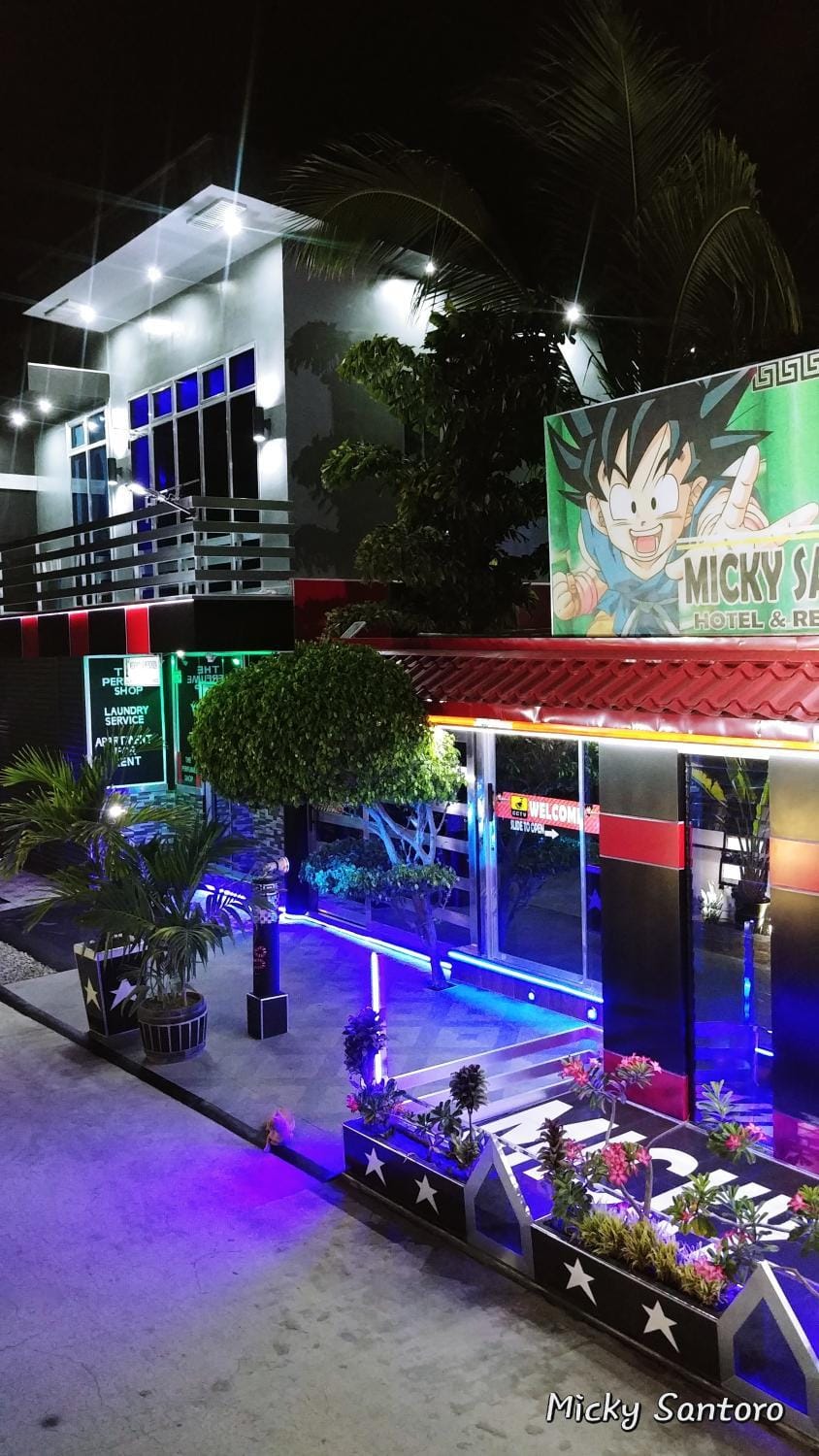 Micky Santoro Hotel & Restaurant Hotel in Central Visayas
