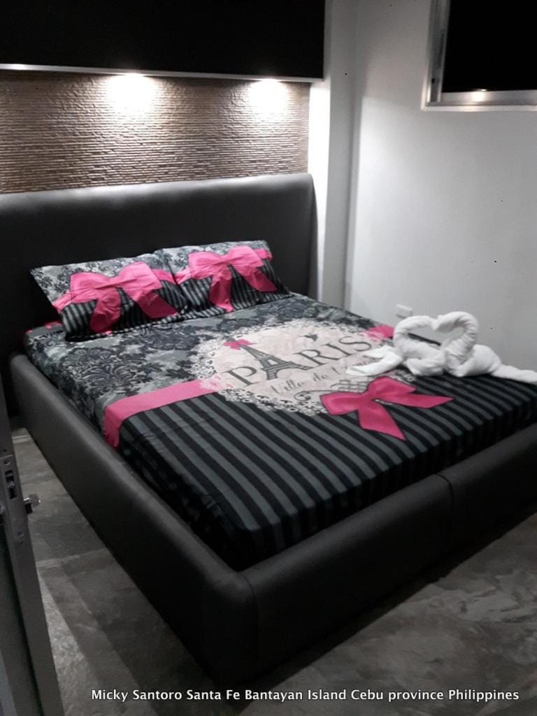 Micky Santoro -Apartments Apartment in Central Visayas
