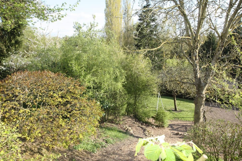 Garden, Garden view