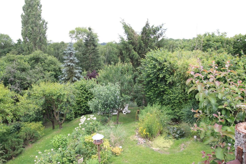 Garden, View (from property/room)