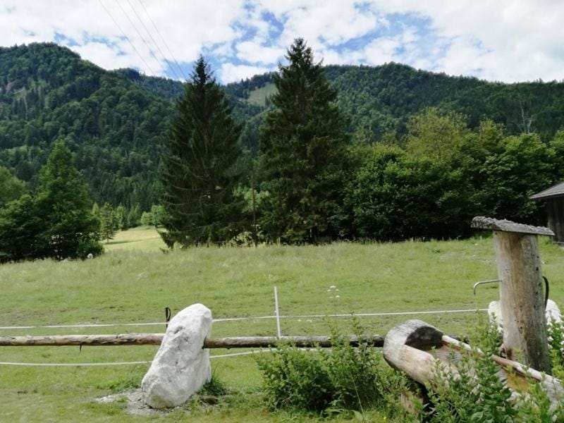 Lenzlschmiedkasa House in Salzburgerland