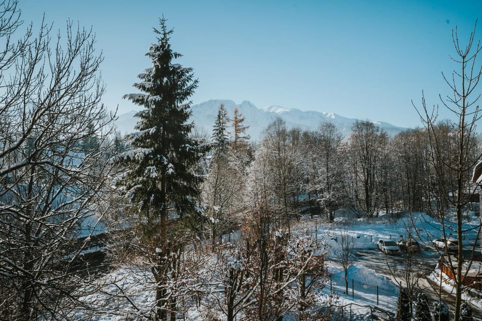 Winter, Mountain view