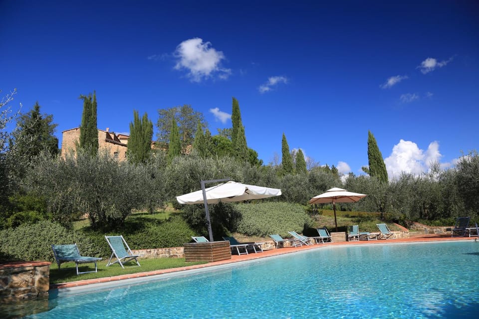 Garden view, Pool view, Swimming pool, sunbed