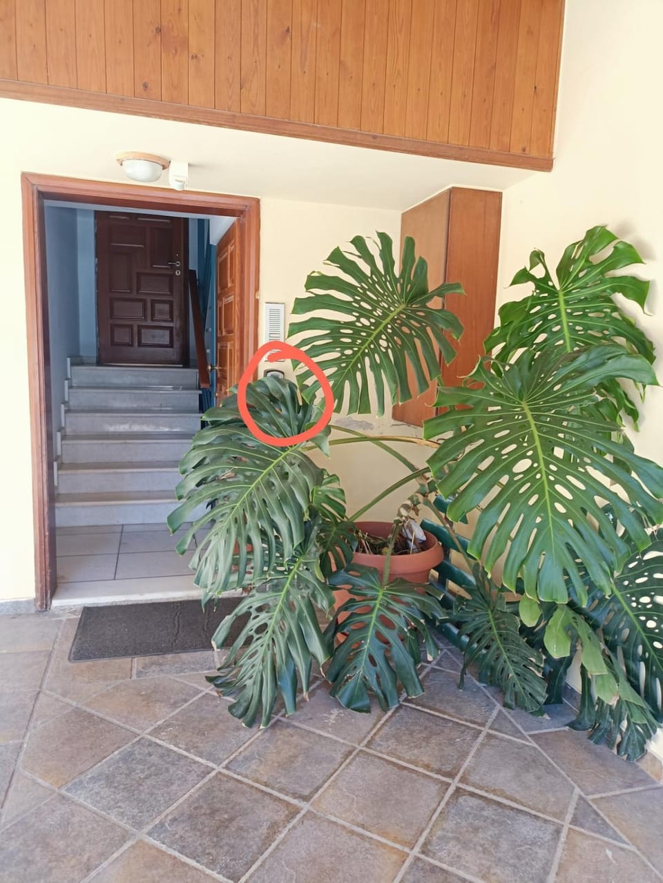 Penthouse Apartment in Chania