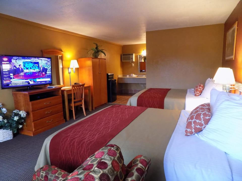 TV and multimedia, Photo of the whole room, Decorative detail, Seating area