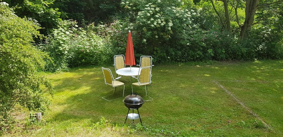 Patio, Day, Summer, BBQ facilities, Garden, On site