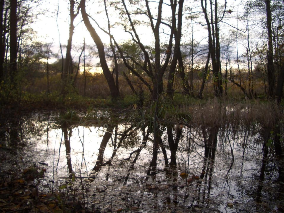 Natural landscape, Other