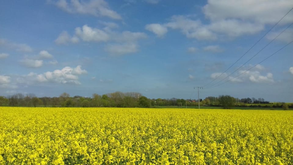 Natural landscape